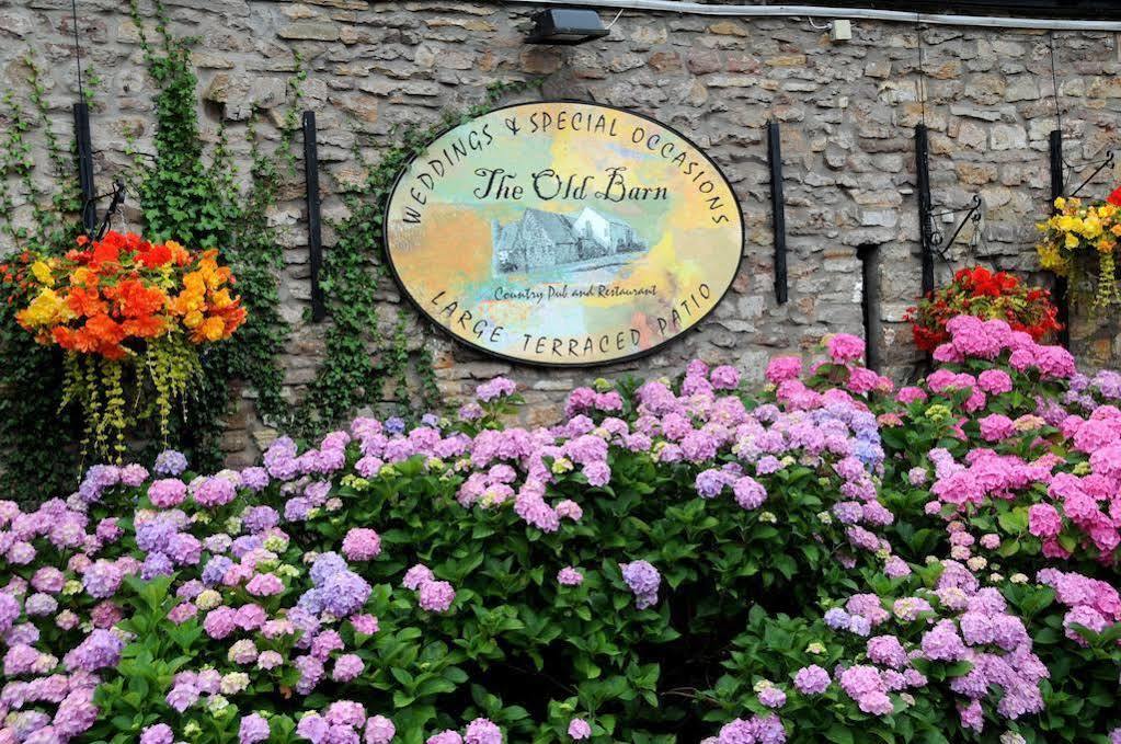 The Old Barn Inn Newport  Eksteriør bilde